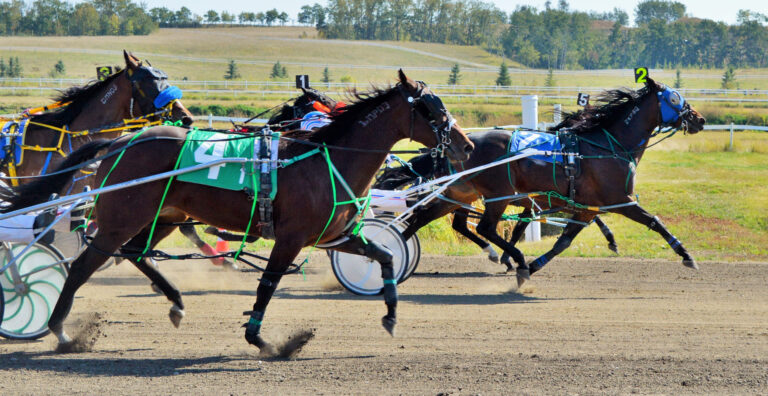 Track on 2 Lacombe harness racing
