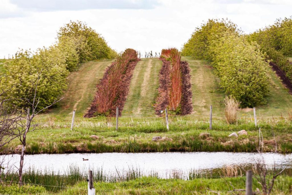 DNA Gardens Red Deer County